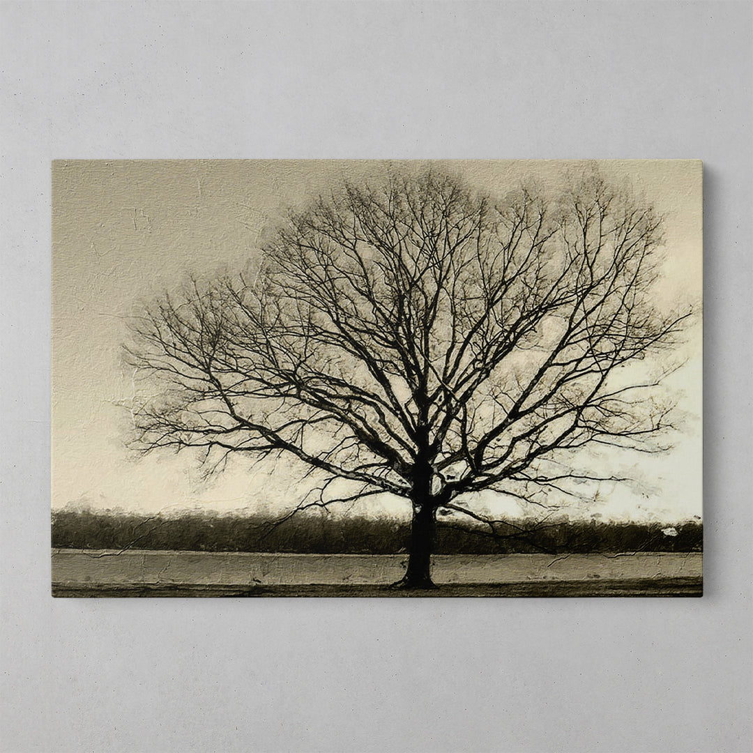 Urban Canopy: A Journey Through Nature's Hues