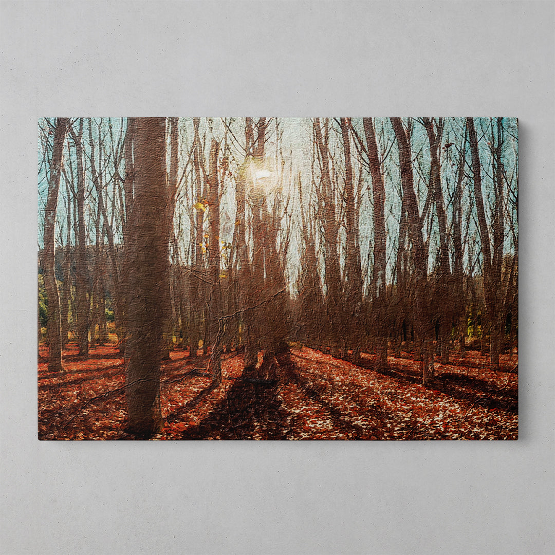 Nature's Serenity: A Journey Through Tree-Laden Places