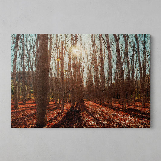 Nature's Serenity: A Journey Through Tree-Laden Places