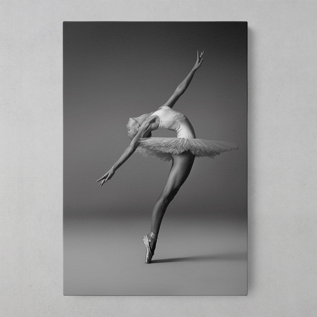 Chic Ballerina Wall Art