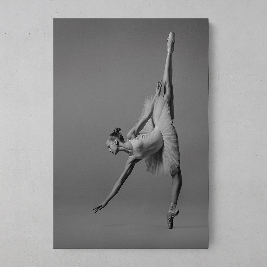 Ballerina Dreams: Enchanting Art for Elegant Spaces