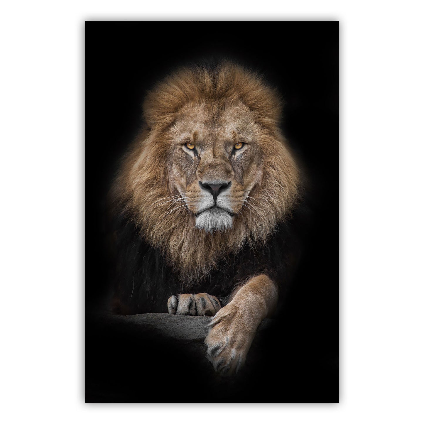 Viziune artistică: Canvas Print 589