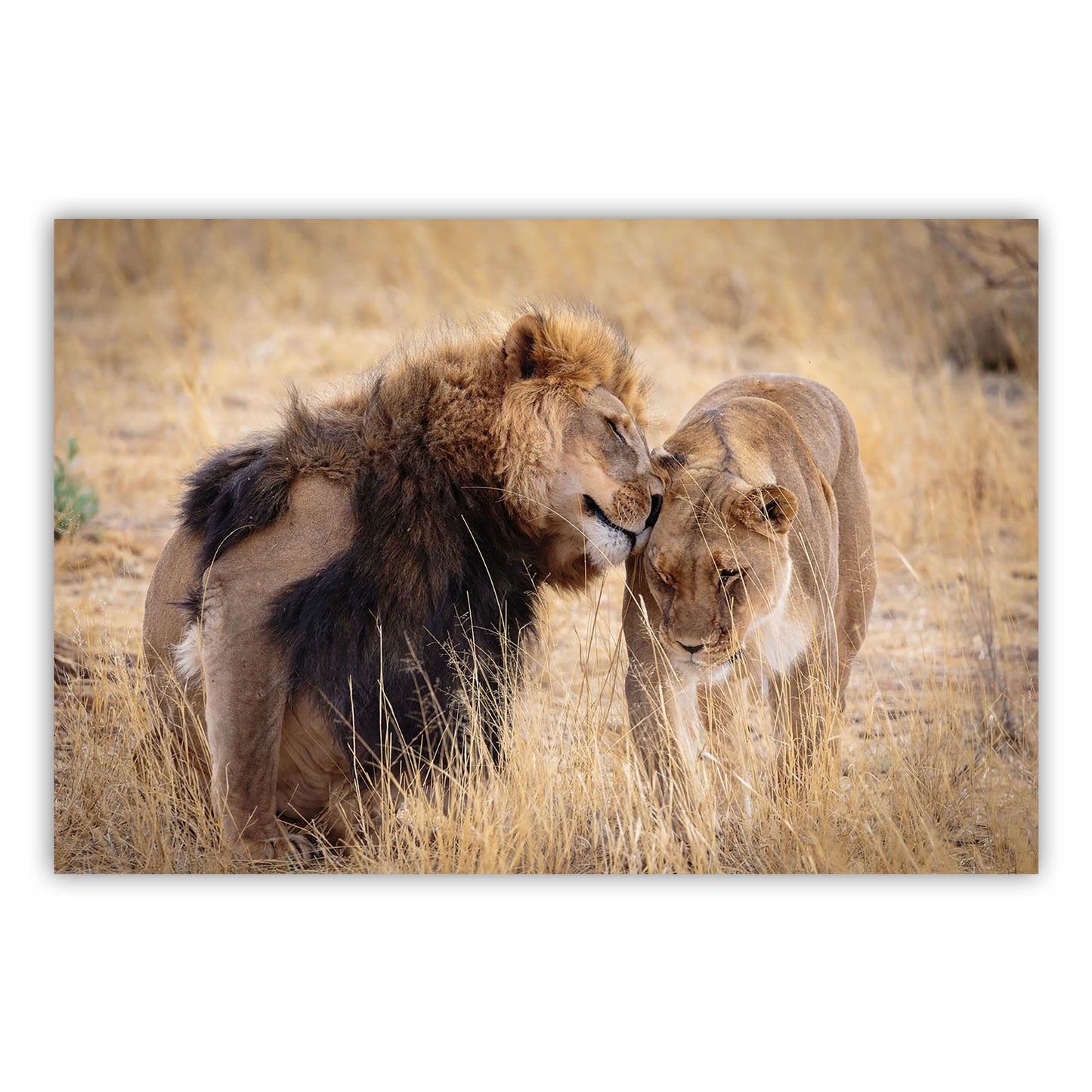 Artistic Expression Canvas Print 603