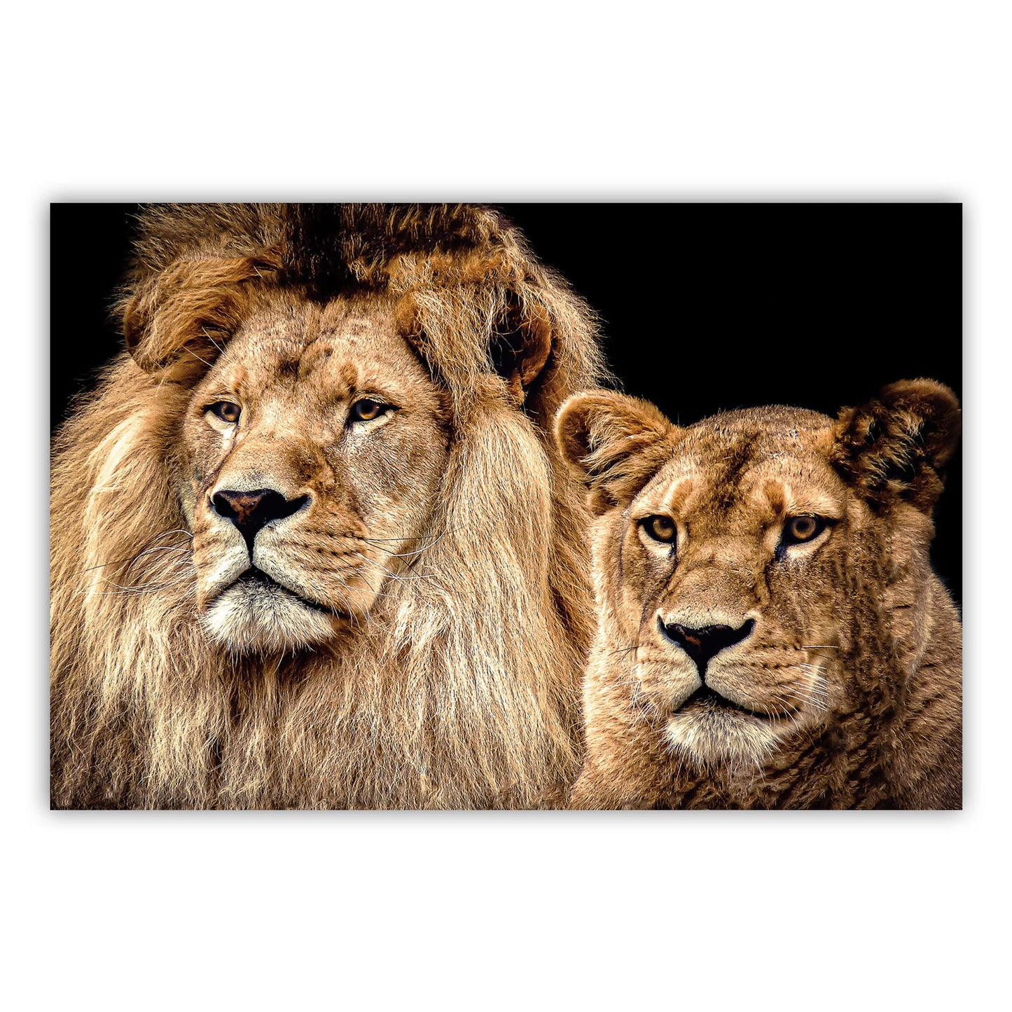 Vibrant Artistry: Canvas Poster Collection 605