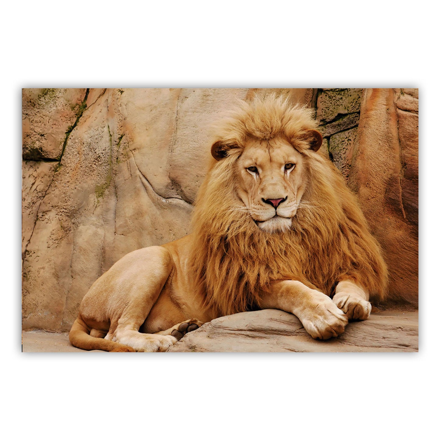 Artistic Canvas Wall Art 610