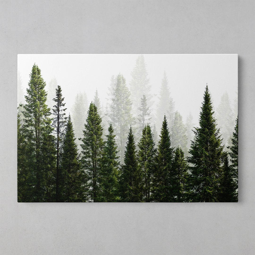 Winter Blossoms Art Print