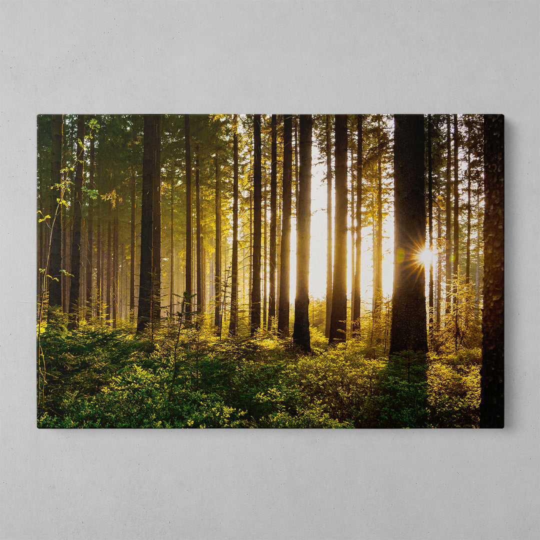 Blossoms of Spring: A Vibrant Floral Canvas