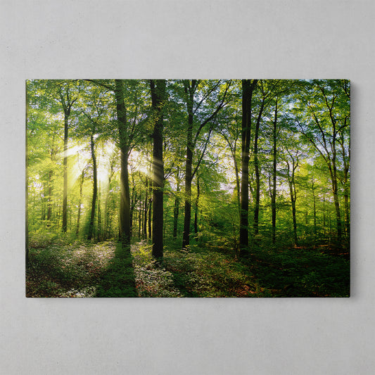 Spring Blooms: Vibrant Floral Canvas Art