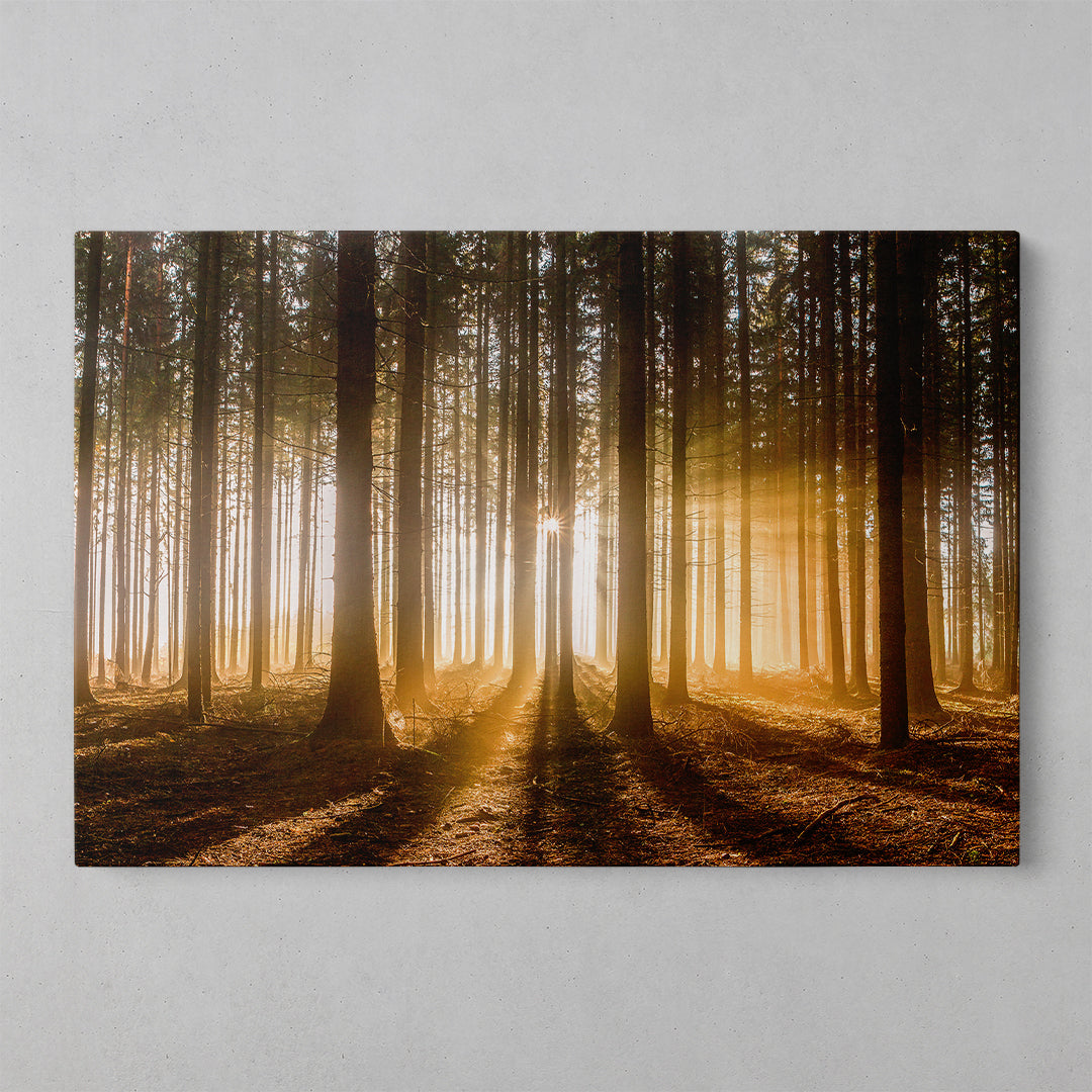 Autumn Blooms Canvas Art