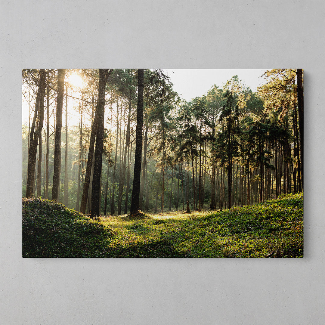 Spring Blooms Canvas Art