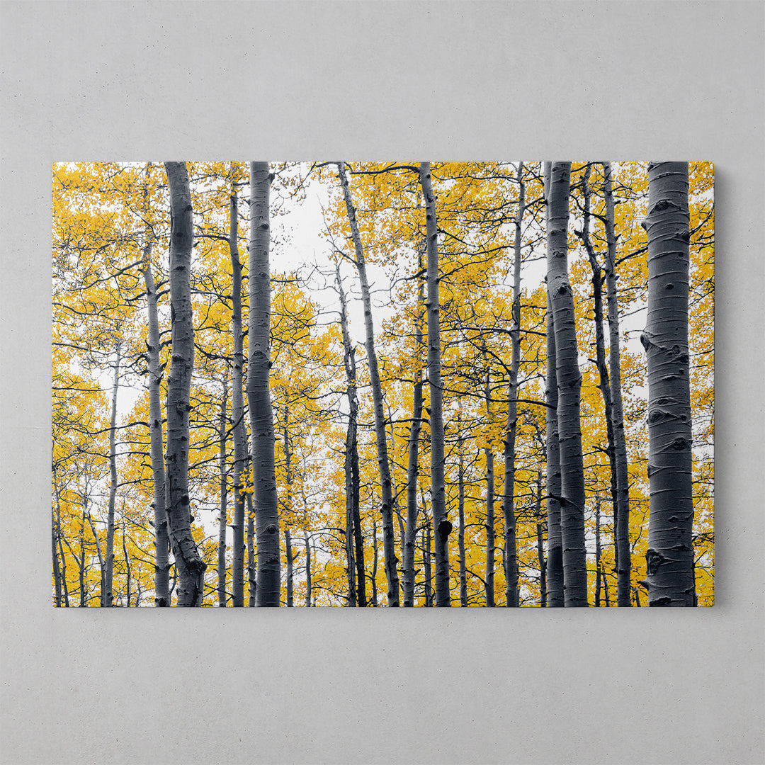 Autumn Blooms Canvas Art