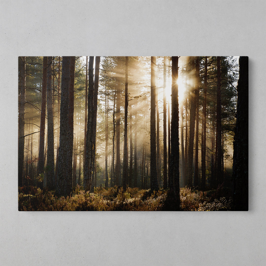 Autumn Blooms: A Vibrant Floral Canvas