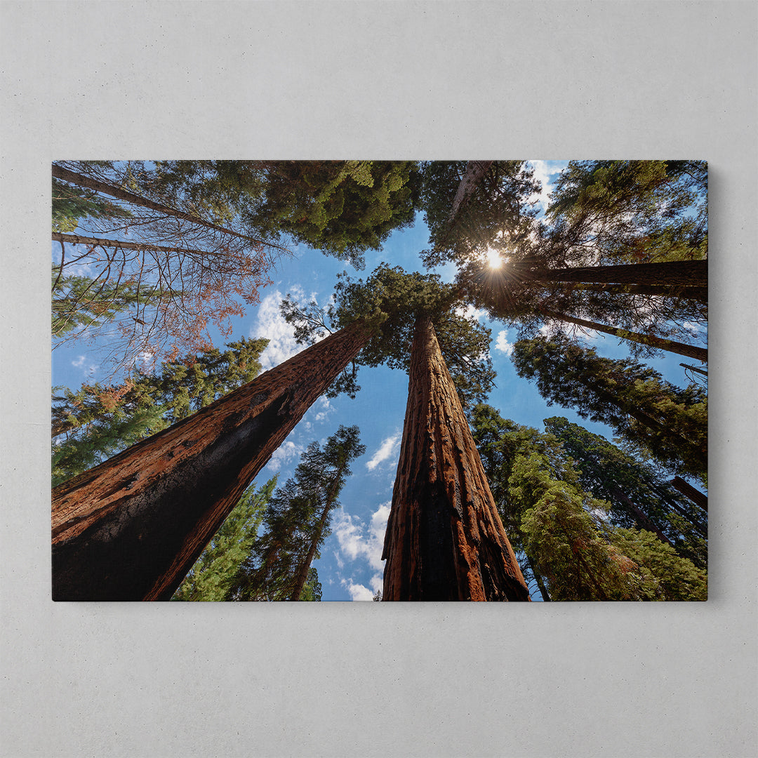 Blossoms of Spring: Vibrant Floral Wall Art