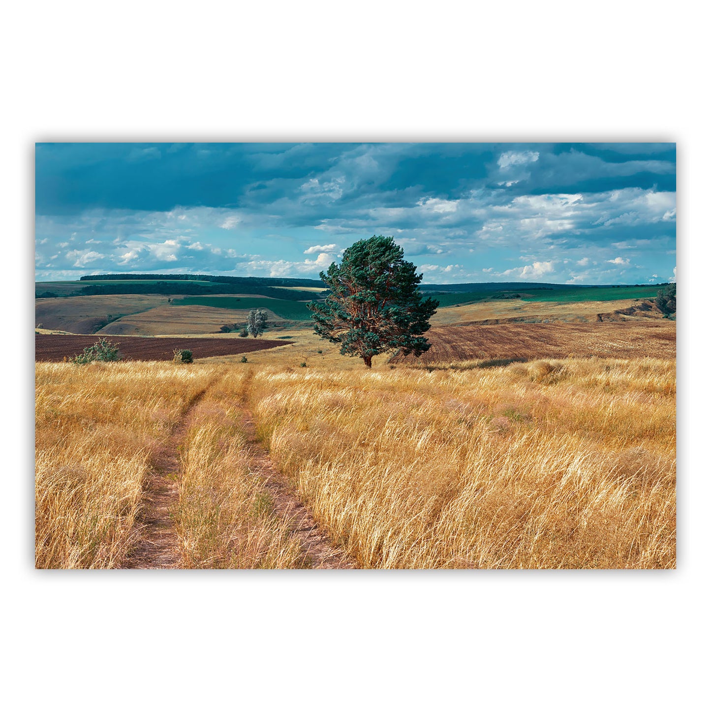 Artistic Expression Canvas Print 679