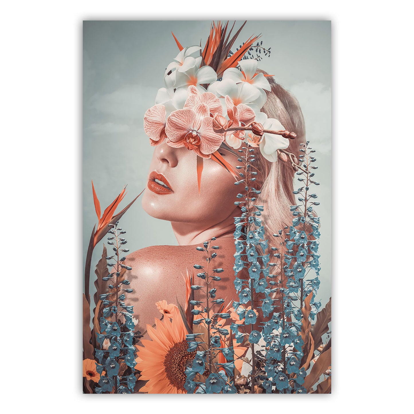 Poster canvas 716