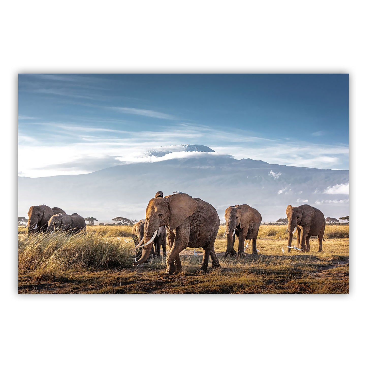 Artistic Canvas Print 877