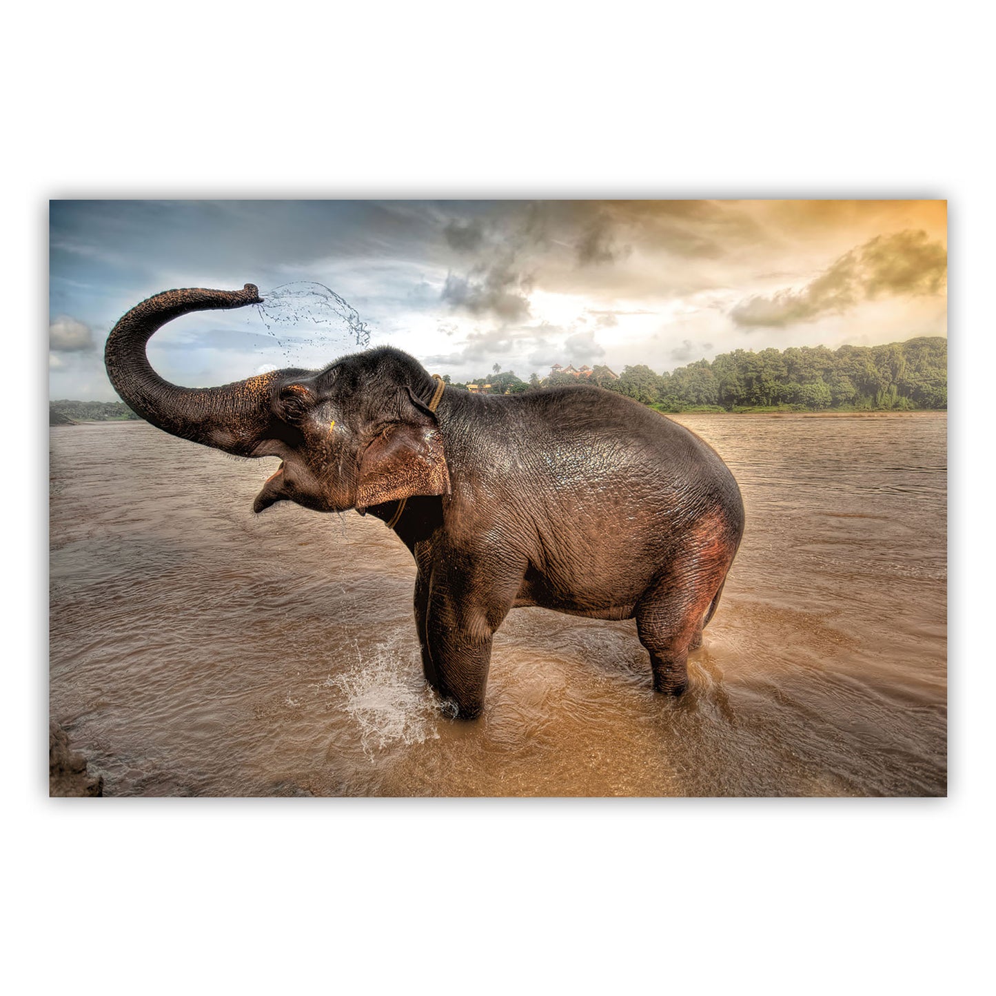 Artistic Canvas Wall Art 878