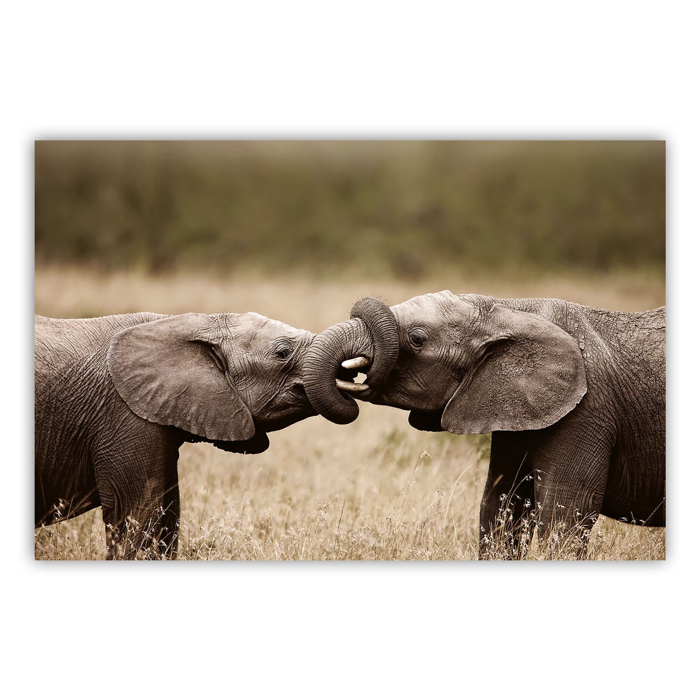 Artistic Canvas Print 879 - Elevate Your Space with Stunning Visuals!