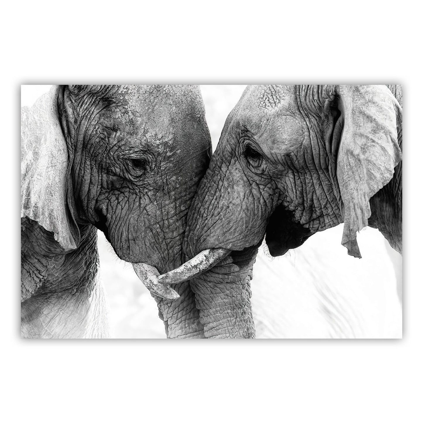 Artistic Canvas Wall Print 880