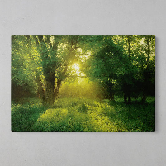 Urban Canopy: Captivating Tree Landscapes