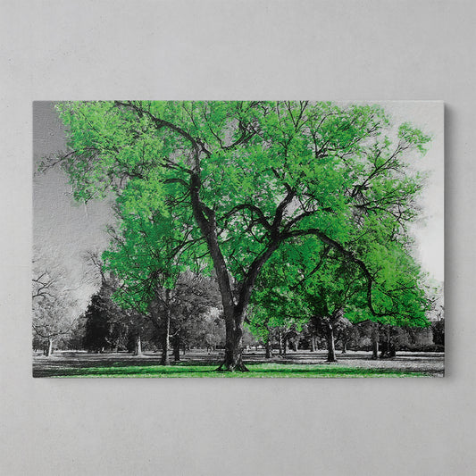 Nature's Palette: Stunning Tree Scapes
