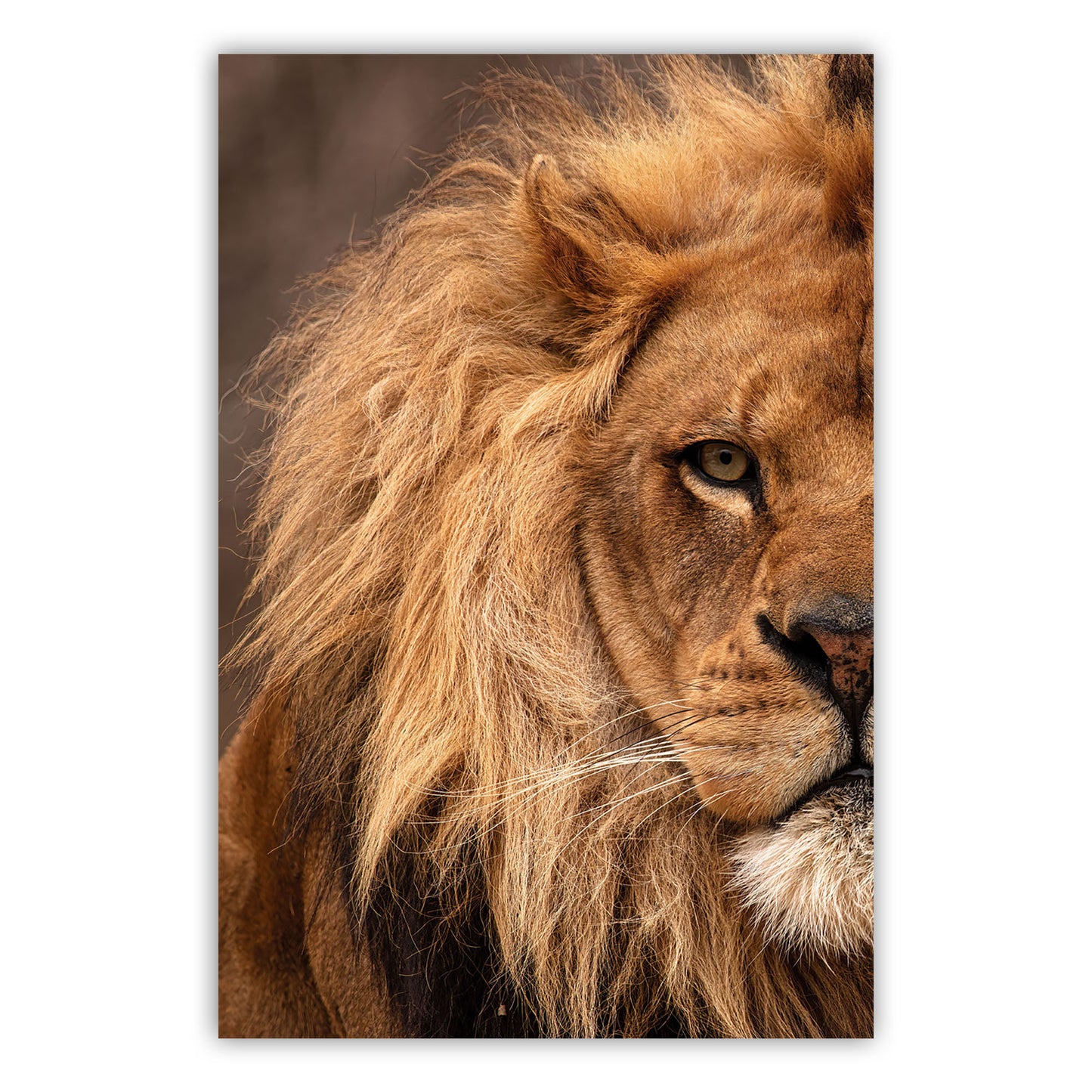 Stunning Artistry: Vibrant Canvas Poster 579