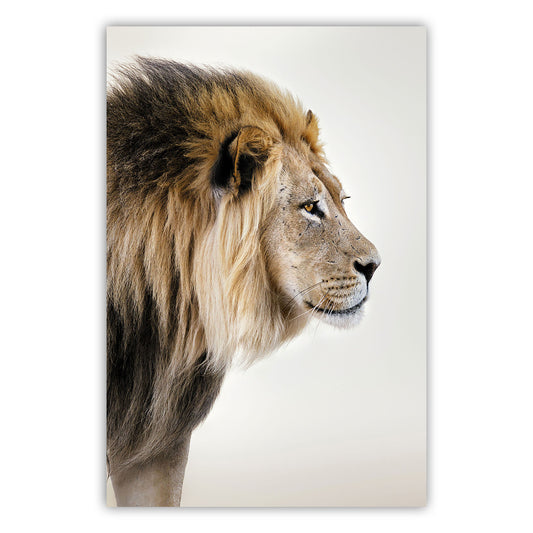 Artistic Canvas Print 599
