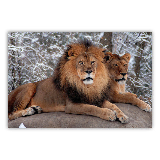Artistic Canvas Wall Decor 607