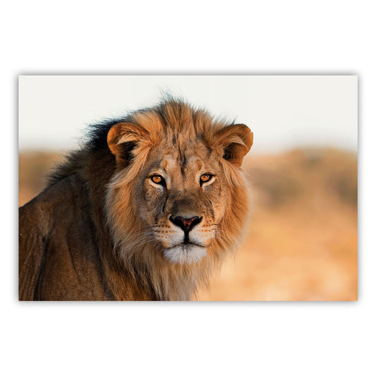 Artistic Canvas Print 608