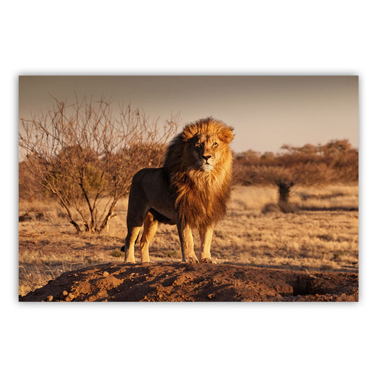 Artistic Canvas Wall Decor 609