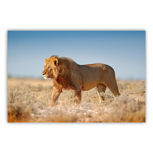 Artistic Canvas Print 611