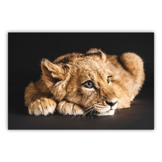 Vibrant Art Print 616: Elevate Your Space with Stunning Canvas Decor