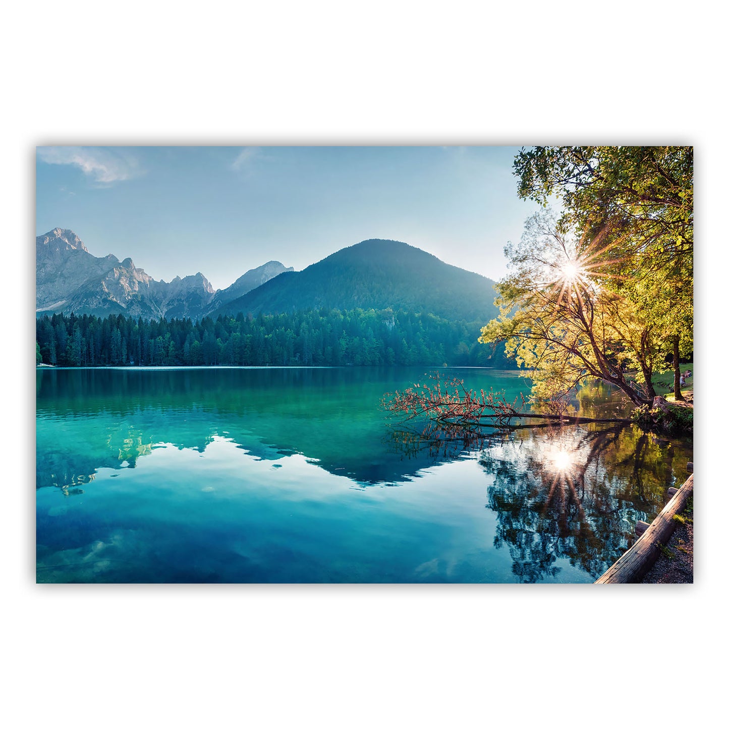 Artistic Canvas Wall Art 657