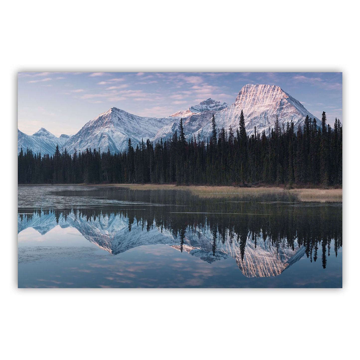 Artistic Expression Canvas Print 663