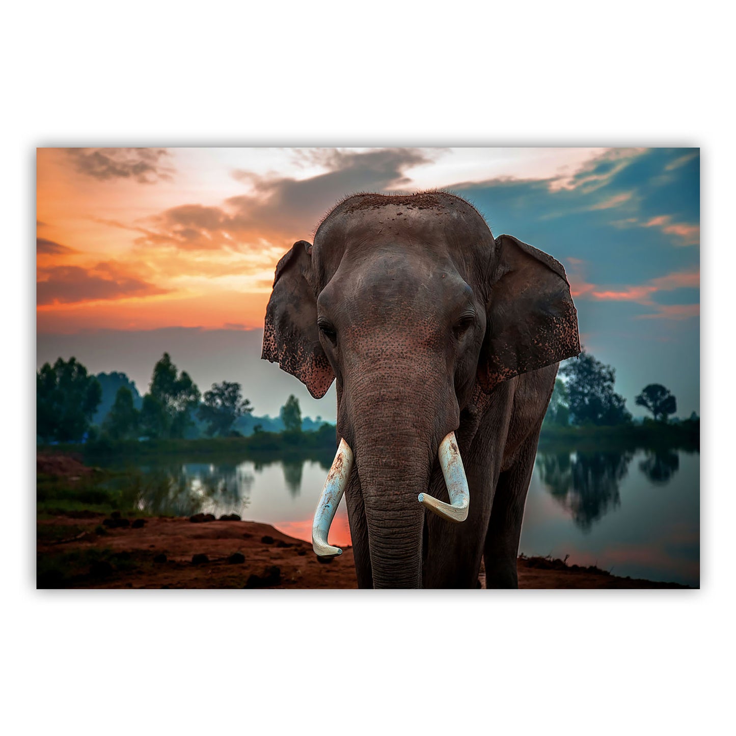 Poster canvas 864