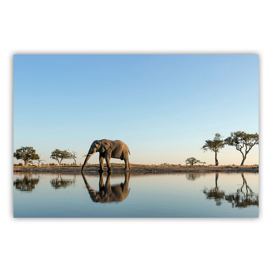 Artistic Serenity Canvas Print 868