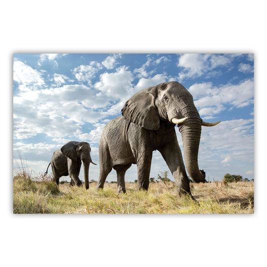 Artistic Canvas Poster 869: Elevate Your Space with Stunning Visuals