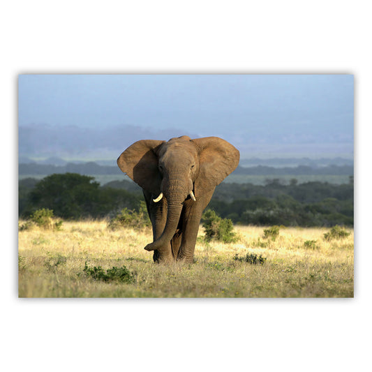 Artistic Canvas Print 870