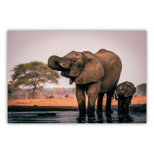 Artistic Canvas Wall Decor 873