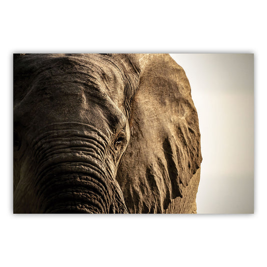 Artistic Canvas Print 874: A Stunning Visual Experience