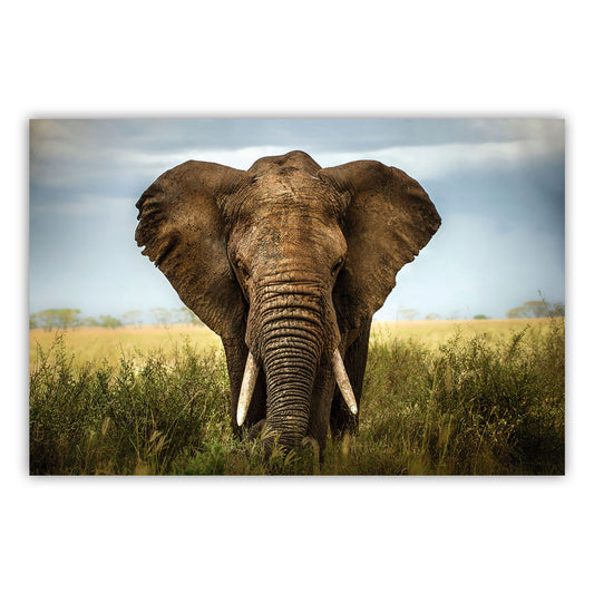 Vibrant Artistry Canvas Print 876