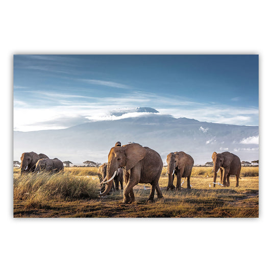 Artistic Canvas Print 877