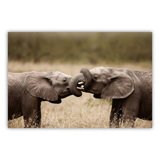 Artistic Canvas Print 879 - Elevate Your Space with Stunning Visuals!