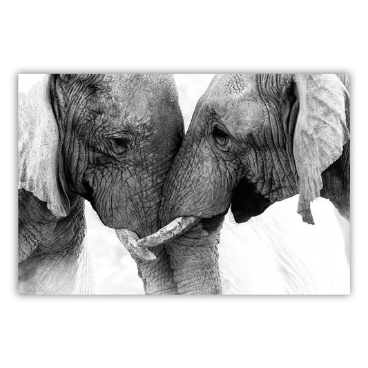 Artistic Canvas Wall Print 880