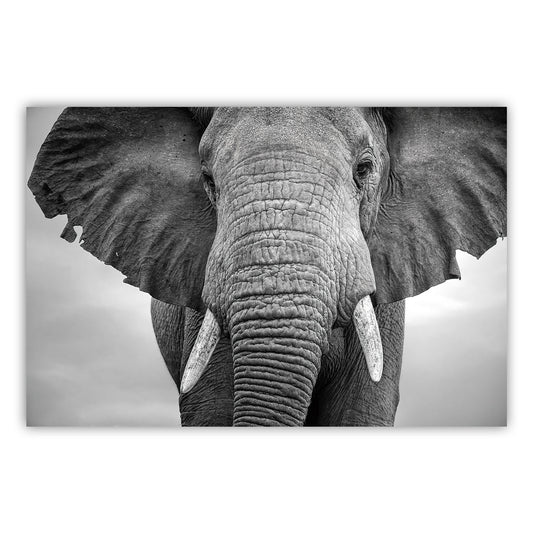 Vibrant Art Canvas Print 883