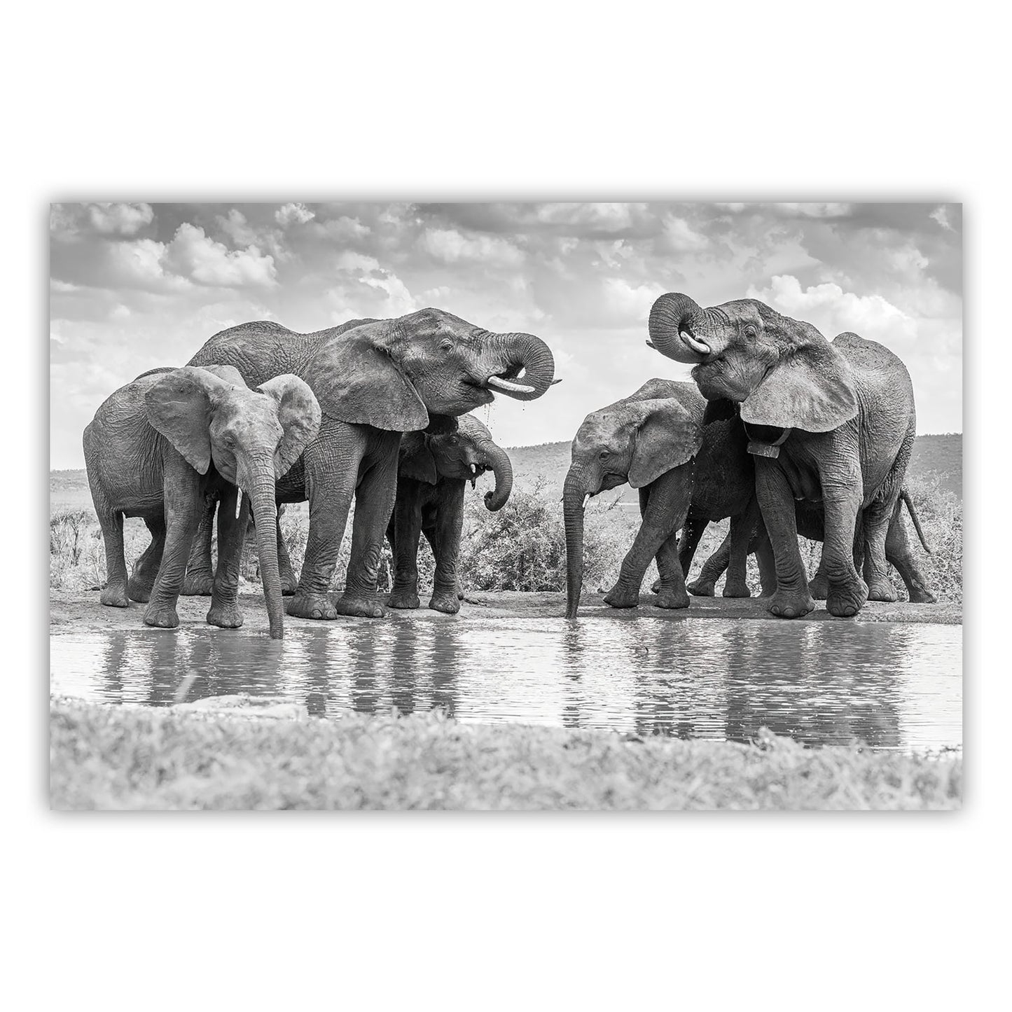 Artistic Canvas Print 884