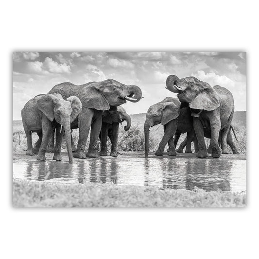 Artistic Canvas Print 884