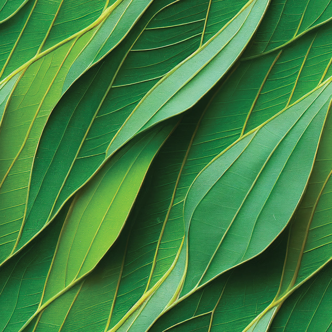 Wallpaper Big leaves 58x300cm